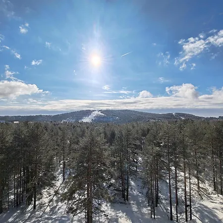 아파트 Divcibarska Carolija *