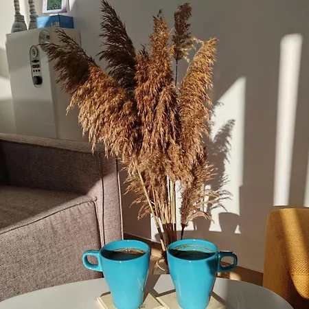 아파트 Divcibarska Carolija *