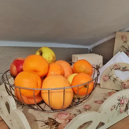 Apartment Divcibarska Carolija