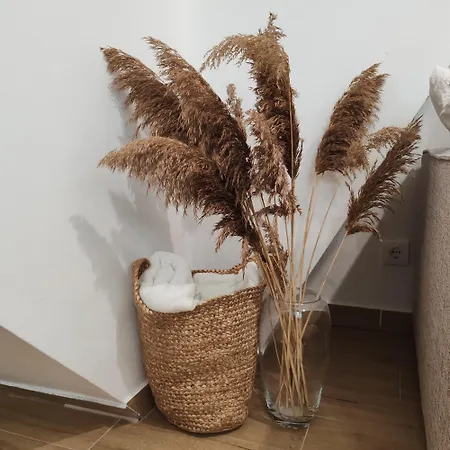 아파트 Divcibarska Carolija Divčibare